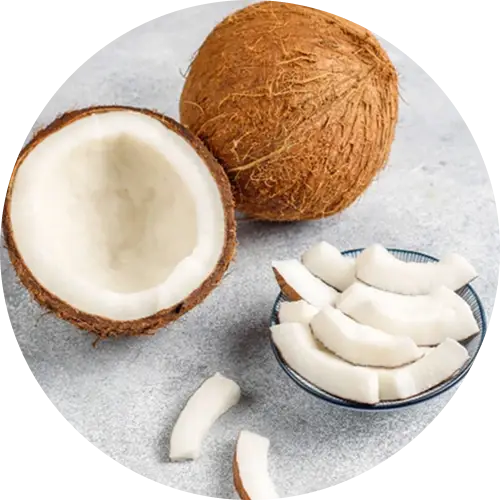 Quả Dừa