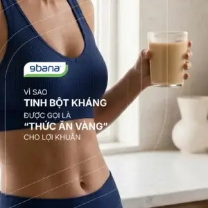 Vì sao tinh bột kháng được gọi là thức ăn vàng cho lợi khuẩn
