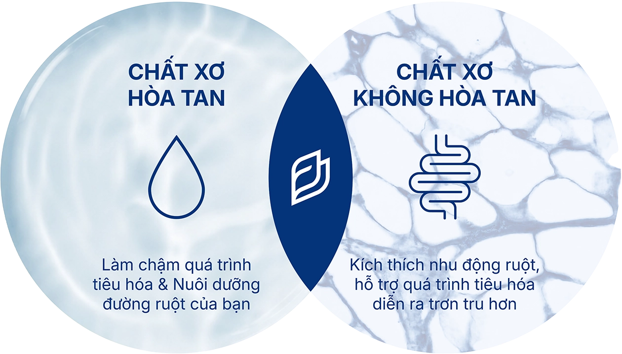 tỷ lệ vàng của đường ruột
